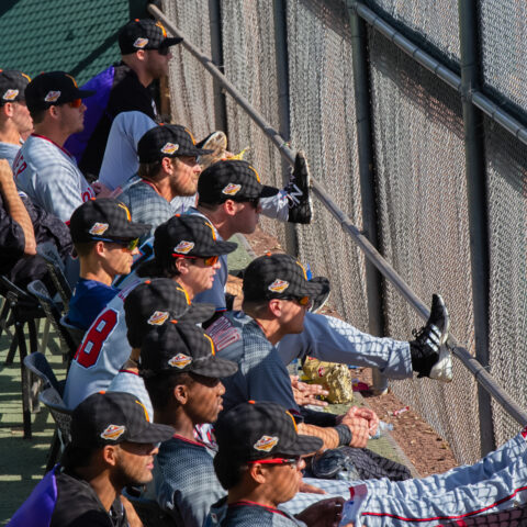 bilingualbaseball